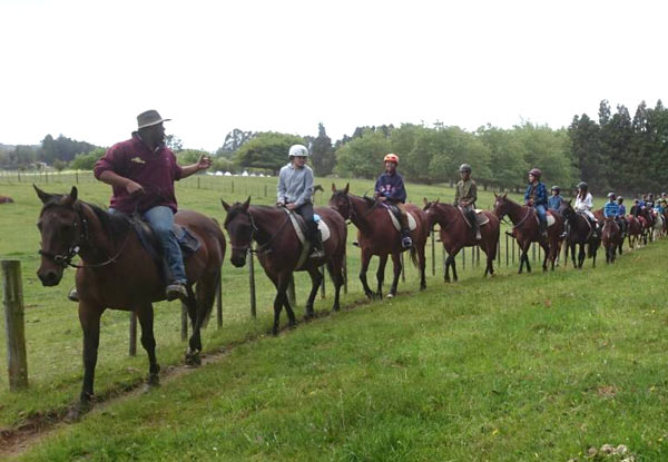 $38.50 for a One-Hour Horse Trek (value up to $55)