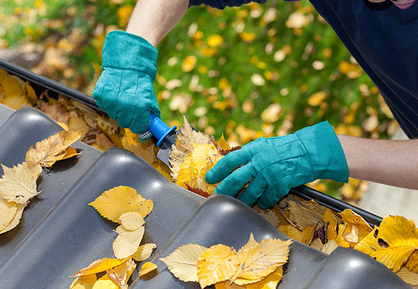 From $29 for a Gutter Clean & Debris Removal (value up to $258)