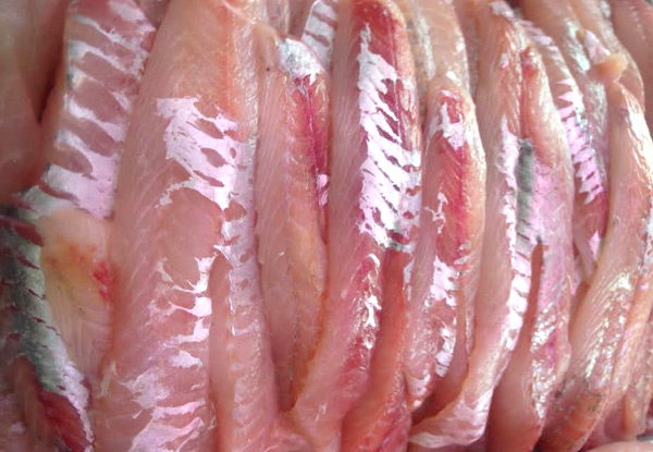 $99.50 for 10kg of Frozen Gurnard Fillets Layer Packed (value up to $249) - Auckland Pick-Up Only