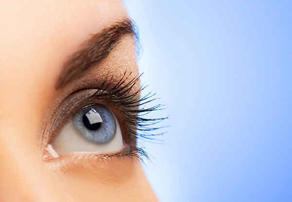 $18 for a Eye Trio incl. Brow Shape, Tint & Lash Tint with $10 Return Voucher (value up to $35)