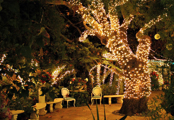 $25 for 25m of 250 Solar Powered Super Bright LED Fairy Lights