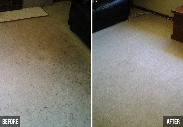 $45 for a Professional Carpet Clean for Two Rooms & a Hallway or $80 for Four Rooms (value $90)