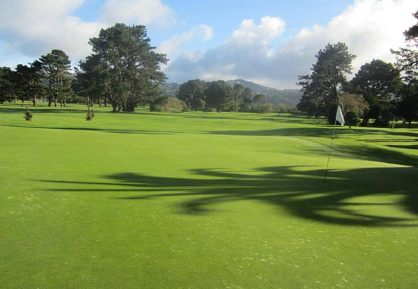 $25 for One Round of Golf & One Drink (value up to $70)