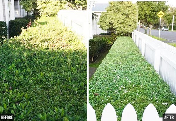 $179 for Four Hours Gardening Services incl. 100kg of Green Waste Removal (value up to $358)