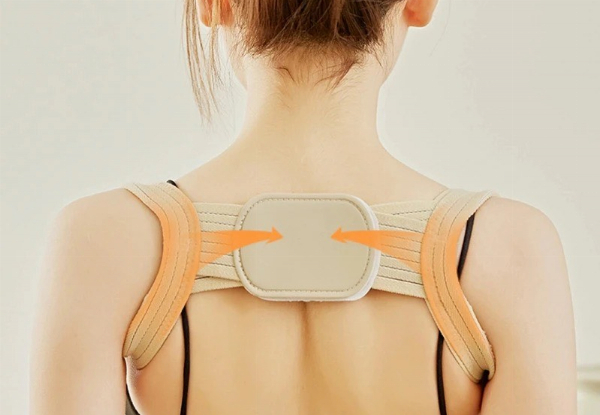 Back Posture Support - Available in Four Sizes & Option for Two-Pack