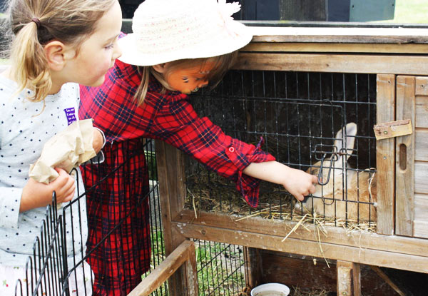$3 for a Child Entry to Petting Zoo or $6 for an Adult (value up to $8)