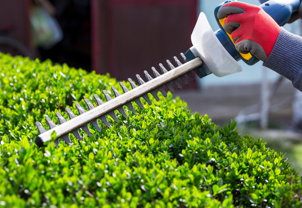 $79 for Three Hours of Gardening Services