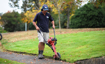 $49 for Weed Spray & Fertiliser Lawn Treatment (value up to $90)