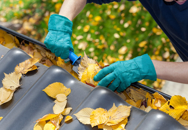 $75 for a Complete Spouting & Gutter Clean-Out (value up to $150)