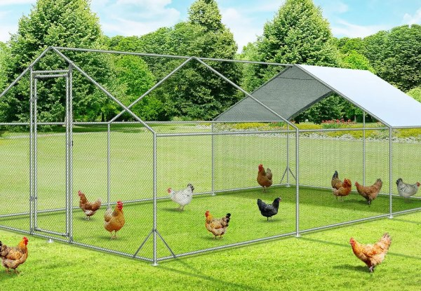Walk-In Chicken Coop Enclosure - Four Sizes Available