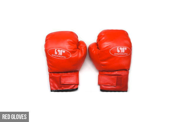 $40 for a Hanging Boxing Bag with Gloves - Available in Two Options