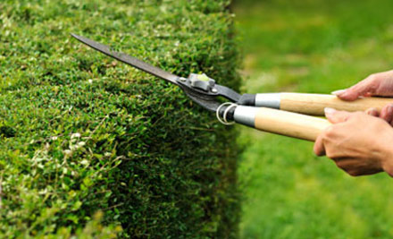 $109 for Four Hours or $210 for Eight Hours of Garden & Lawn Maintenance Services