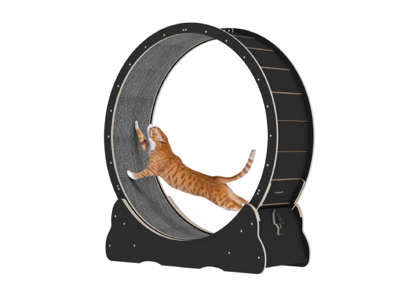 Cat Exercise Wheel - Two Colours Available