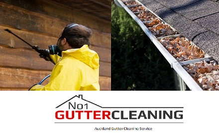 From $249 for Gutter Cleaning & Full House Washing incl. Moss & Mould Treatment for a Two- or Three-Bedroom House – Options for One & Two Storey Homes (value up to $700)