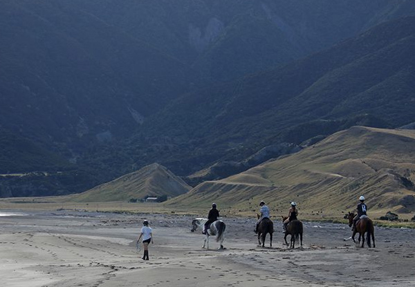 $60 for a Two-Hour Horse Ride – Options for up to Six People (value up to $570)