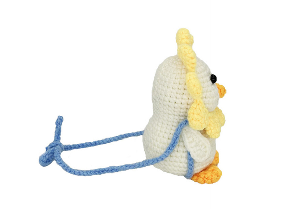 Crochet Kit for Beginners