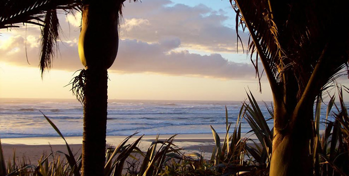 $1,399pp for up to Six Nights on a Heaphy Track Guided Walk Adventure incl. Transfers to/from Nelson, Accommodation & Meals