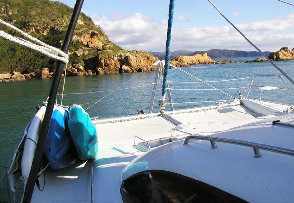 $35 for a 90-Minute Father's Day Sailing Special Around Wellington Harbour incl. Sausage Sizzle & Drink (value up to $65)