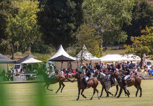 $55 for One GA Ticket to the Wellington Heineken Urban Polo on Saturday 11th February (value up to $78)