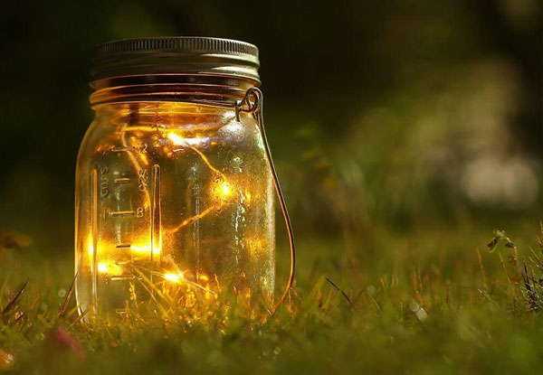 $20 for Two Solar LED Seed Light Jars in Warm White