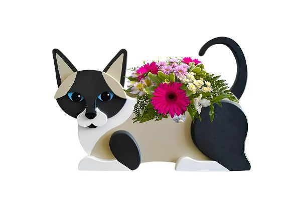 Novelty Cat Lanter Plant Pot - Available in Four Colours & Option for Two-Pack