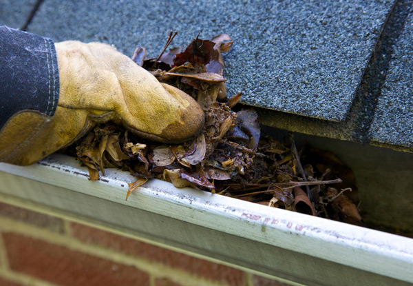 Up to 50% off Gutter Cleaning & External Window Cleaning (value up to $250)