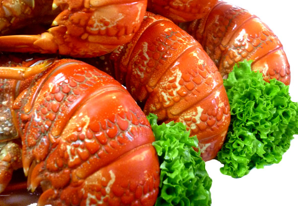 $45 for a 450-500gm Cooked Crayfish - Options for up to Four Crayfish – North Island Delivery