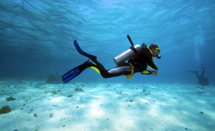 $379 for a PADI Open Water Dive Certification Course incl. Wet Suit, Tanks, Regulator, BCD & Weights - Options for up to Four People