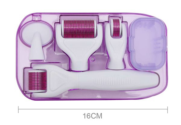 Six-in-One Micro Needle Skin Care Massager - Two Colours Available