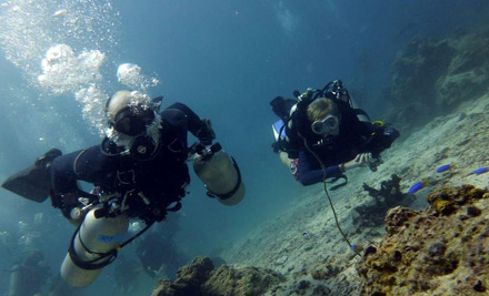 $379 for a PADI Open Water Dive Certification Course incl. Wet Suit, Tanks, Regulator, BCD & Weights - Options for up to Four People