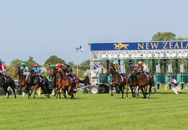 $30 for an Irish Racing Day Event incl. Roast Dinner, Drink at the Racecourse, Betting Coupon & Transport - Newmarket, Saturday 28th May 2016 (value up to $64.50)