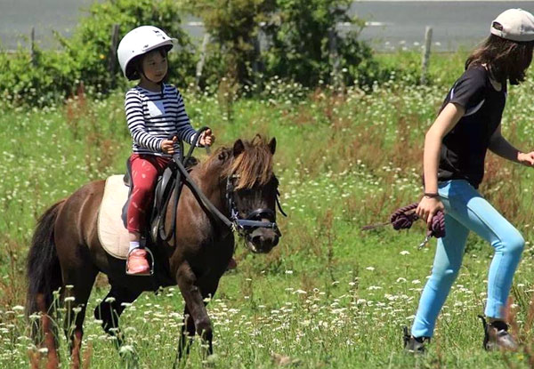 $19 for a Half-Hour Private Horse Riding Lesson for Kids, from $25 for a My Little Pony Makeover Experience or from $49 for Both (value up to $103)