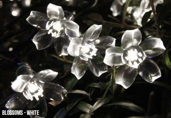 $12 for a Set of 20-LED Solar Lights - Available in Blossom, Dragonfly or Green Leaves