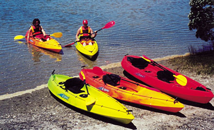 $20 for a Child, $30 for an Adult or $95 for a Family 2½ Hour Guided Eco Kayak Tour in Ruakaka (value up to $200)