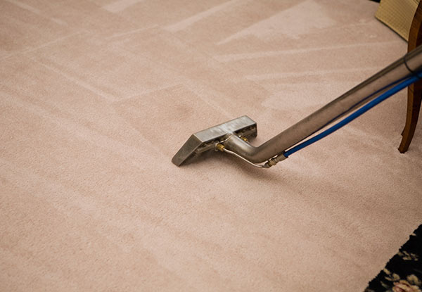 Home Carpet Cleaning Service - Options for Two, Three, or Four-Bedroom Homes