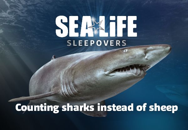 Adult & Child Admission to Sleep Under the Sea Overnight at SEA LIFE - Saturday 19th January, 7.00pm - Options for Two Adults & One Child or One Additional Child Available