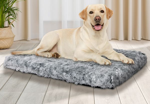 PaWz Pet Memory Foam Removable Bed Cover - Available in Three Colours & Five Sizes