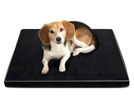 From $19 for a Memory Foam Pet Bed - Small, Medium, Large or XL