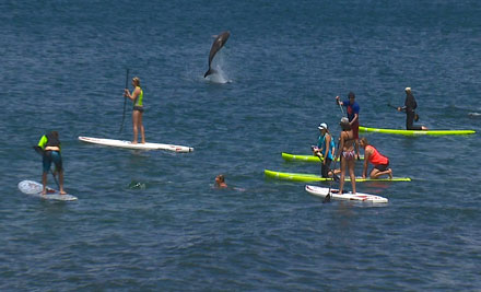 $40 for a 60-Minute Stand Up Paddleboard Lesson for Two People, $160 for Eight People or $200 for Ten (value up to $400)