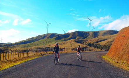 From $60 for a Raglan Scenic Bike Trip Incl. Transfers - Options Available for Two, Three, Four & Five People (value up to $300)