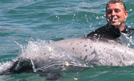Up to 50% off a Child or Adult Dolphin Swim Experience in Akaroa Harbour (value up to $150)