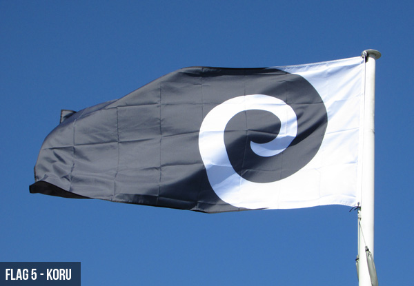 $20 for One of the Five Potential New Zealand Flags