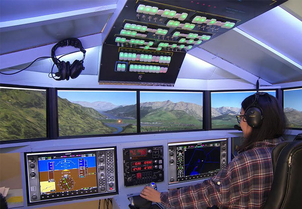 $69 for One-Hour of Virtual Flight Simulation (Value $150)