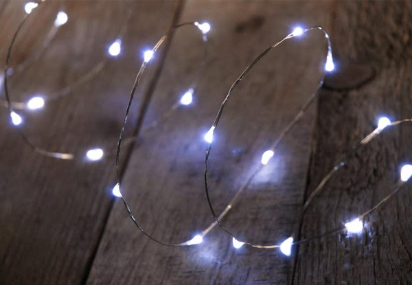 $8 for Two Decorative LED Wire Seed Light Sets or $16 for Four Sets