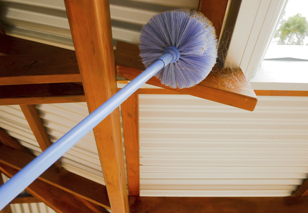 $65 for a Ceiling Clean for up to Three Rooms, or $150 for a Premium Ceiling Clean for Your Whole House (value up to $300)