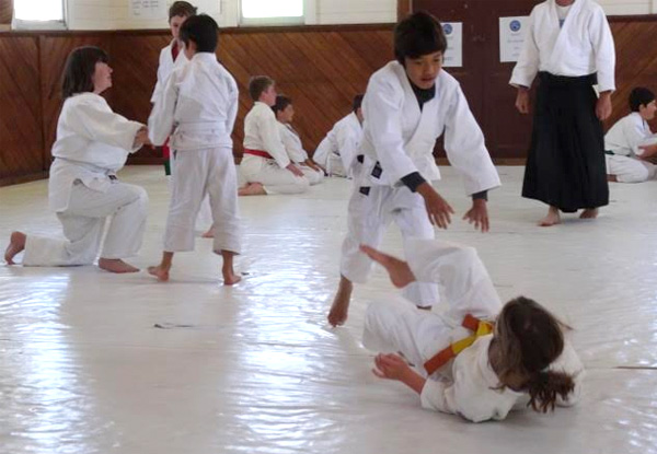 $35 for Aikido Beginners Training Course for Children (value up to $95)