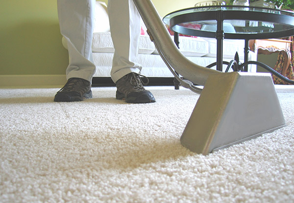 From $49 for Home Carpet Cleaning incl. Lounge & Hallway – Options for up to Five Bedrooms Available