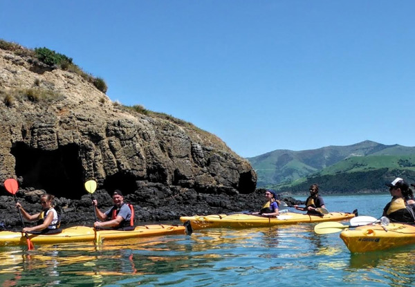 $75pp for a Three-Hour Guided Akaroa Sea Kayaking Experience incl. Snacks & Photo Options