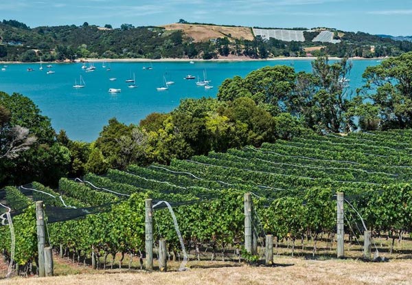 $89 for a Waiheke Island Half Day Scenic Wine Tour incl. Wine Tasting at Three Top Vineyards (value up to $149)