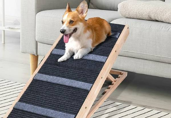 Two-In-One Adjustable Pet Ramp & Stairs